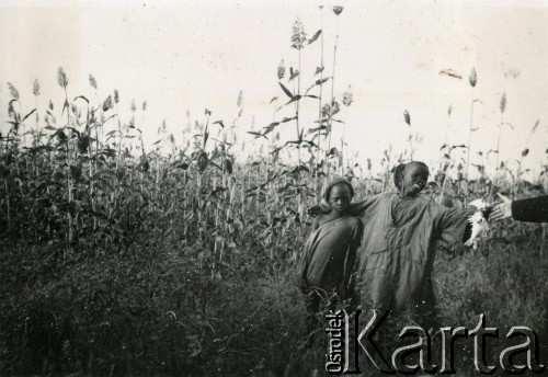 1939, Afryka.
Dzieci afrykańskie. 
Fot. NN, ze zbiorów Archivo Historico-Central 