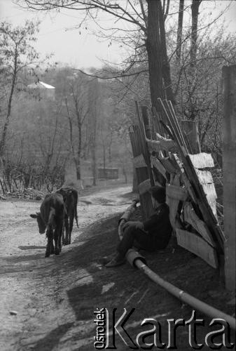 1992, Republika Inguszetii.
Mężczyzna dogląda swoich osłów na poboczu wiejskiej drogi.
Fot. Mikołaj Nesterowicz, zbiory Ośrodka KARTA