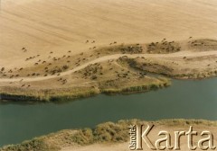 Lata 90., Kazachstan.
Stado krów pasących się nad brzegiem rzeki.
Fot. Mikołaj Nesterowicz, zbiory Ośrodka KARTA