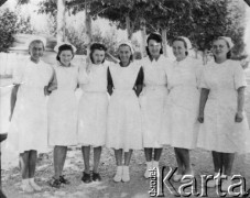 1942, Teheran, Iran.
Pielęgniarki z wojskowego szpitala, w którym pracowała Irena Osadzińska (stoi 2. z lewej).
Fot. NN, kolekcja Ireny Osadzińskiej, reprodukcje cyfrowe w Ośrodku KARTA