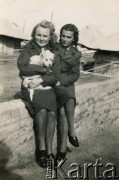 1944, Quassasin, Egipt. 
Uczennica liceum w Szkole Młodszych Ochotniczek Irena Ćwirko (później po mężu Wolicka-Wolszleger, trzyma psa na rękach) z koleżanką z wojska. Z tyłu widoczne wojskowe namioty.
Fot. NN, kolekcja Ireny Wolickiej-Wolszleger, reprodukcje cyfrowe w Ośrodku KARTA