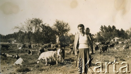 Lata 40., brak miejsca.
Kobieta podczas spaceru. Za nią widoczne pasujące się stado kóz. 
Fot. NN, kolekcja: Polska Misja Katolicka, reprodukcje cyfrowe w Ośrodku KARTA