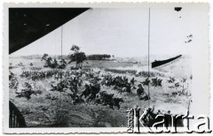 1944, Lwów,  USRR, ZSRR.
Dokumentacja zniszczeń przez Sowietów -  przerwana struktura płótna w obrazie 