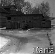03.1963, Wyszogród, Polska.
Powódź, n/z zabudowania gospodarcze zalane i zamarznięte.
Fot. Marek Zürn, zbiory Fundacji Ośrodka KARTA