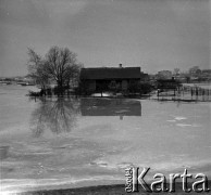 03.1963, Wyszogród, Polska.
Powódź, n/z zabudowania gospodarcze zalane i zamarznięte.
Fot. Marek Zürn, zbiory Fundacji Ośrodka KARTA
