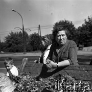 Lata 60., Warszawa, Polska.
Targowisko na ulicy Marymonckiej.
Fot. Marek Zürn, zbiory Fundacji Ośrodka KARTA