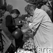 Lata 60., Warszawa, Polska.
Targowisko na ulicy Marymonckiej.
Fot. Marek Zürn, zbiory Fundacji Ośrodka KARTA
