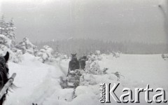 Lata 60., Gorce, Polska.
Transport saniami zaopatrzenia do schroniska na Turbaczu.
Fot. Marek Zürn, zbiory Fundacji Ośrodka KARTA