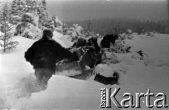 Lata 60., Gorce, Polska.
Transport saniami zaopatrzenia do schroniska na Turbaczu.
Fot. Marek Zürn, zbiory Fundacji Ośrodka KARTA