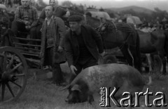 Lata 60., miejsce nieznane.
Jarmark cygański.
Fot. Marek Zürn, zbiory Fundacji Ośrodka KARTA