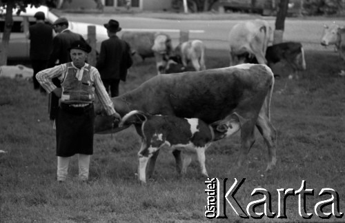 Lata 60., miejsce nieznane.
Jarmark cygański.
Fot. Marek Zürn, zbiory Fundacji Ośrodka KARTA