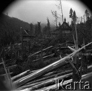 Lata 60., Tatry, Polska.
Zniszczone przez halny drzewa, w głębi Pustelnia Świętego Brata Alberta na Kalatówkach.
Fot. Marek Zürn, zbiory Fundacji Ośrodka KARTA