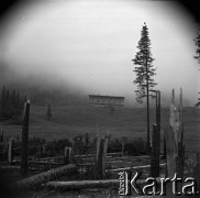Lata 60., Tatry, Polska.
Zniszczone przez halny drzewa, w głębi schronisko górskie Kalatówki.
Fot. Marek Zürn, zbiory Fundacji Ośrodka KARTA