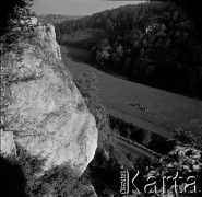Lata 60., Pieniny, Polska.
Widok ze szlaku turystycznego na drogę, łąkę i krowy.
Fot. Marek Zürn, zbiory Fundacji Ośrodka KARTA