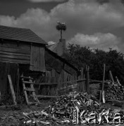 Lata 60., miejsce nieznane, Polska.
Zabudowania wiejskie, drewno porąbane na opał, w głębi pocianie gniazdo.
Fot. Marek Zürn, zbiory Fundacji Ośrodka KARTA