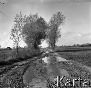 Lata 60., miejsce nieznane, Polska.
Wiejska droga.
Fot. Marek Zürn, zbiory Fundacji Ośrodka KARTA