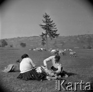 Lata 60., Podhale, Polska.
Strzyżenie owiec.
Fot. Marek Zürn, zbiory Fundacji Ośrodka KARTA