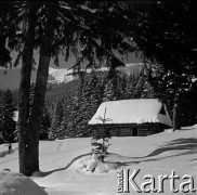 Lata 60., Tatry, Polska.
Dolina Chochołowska w zimie.
Fot. Marek Zürn, zbiory Fundacji Ośrodka KARTA