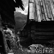 Lata 60., Dolina Chochołowska, Tatry, Polska.
Szałasy pasterskie w Dolinie Chochołowskiej.
Fot. Marek Zürn, zbiory Fundacji Ośrodka KARTA
