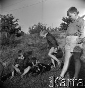 Lata 60., Warszawa, Polska.
Chłopcy i pies na Żoliborzu.
Fot. Marek Zürn, zbiory Fundacji Ośrodka KARTA