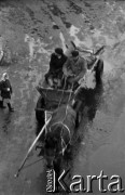 Lata 60., Lublin, Polska.
Furmanka na ulicy.
Fot. Marek Zürn, zbiory Fundacji Ośrodka KARTA