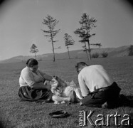 Lata 60., Podhale, Polska.
Strzyżenie owiec.
Fot. Marek Zürn, zbiory Fundacji Ośrodka KARTA