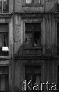 Lata 60., Warszawa, Polska.
Okna kamienicy na ulicy Brzeskiej.
Fot. Marek Zürn, zbiory Fundacji Ośrodka KARTA