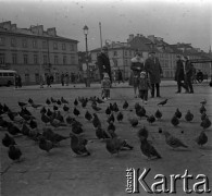 Lata 60., Warszawa, Polska.
Gołębie na Placu Zamkowym.
Fot. Marek Zürn, zbiory Fundacji Ośrodka KARTA