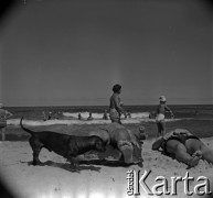 Lata 60., miejsce nieznane, Polska.
Plażowanie nad Bałtykiem.
Fot. Marek Zürn, zbiory Fundacji Ośrodka KARTA