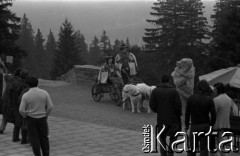 Lata 60., Podhale, Polska.
Turyści pozują do pamiątkowej fotografii z tradycyjnym 