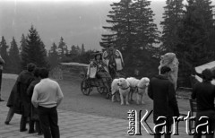 Lata 60., Podhale, Polska.
Turyści pozują do pamiątkowej fotografii z tradycyjnym 