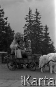 Lata 60., Podhale, Polska.
Turyści pozują do pamiątkowej fotografii z tradycyjnym 