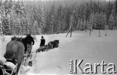 Lata 60., Gorce, Polska.
Transport saniami zaopatrzenia do schroniska na Turbaczu.
Fot. Marek Zürn, zbiory Fundacji Ośrodka KARTA