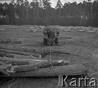 Lata 60., Roztocze, Polska.
Zrzucanie pni drzew (dłużycy) z wagonu.
Fot. Marek Zürn, zbiory Fundacji Ośrodka KARTA