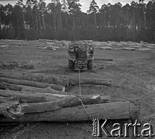 Lata 60., Roztocze, Polska.
Zrzucanie pni drzew (dłużycy) z wagonu.
Fot. Marek Zürn, zbiory Fundacji Ośrodka KARTA