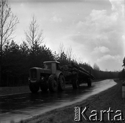 Lata 60., Roztocze, Polska.
Transport pni drzew (dłużycy).
Fot. Marek Zürn, zbiory Fundacji Ośrodka KARTA