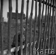 Lata 60., miejsce nieznane, Polska.
Chłopiec przy płocie.
Fot. Marek Zürn, zbiory Fundacji Ośrodka KARTA