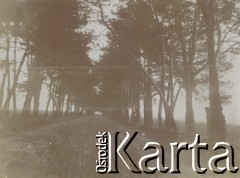 1900-1920, miejsce nieznane.
Aleja.
Fot. NN, kolekcja rodziny Walińskich, zbiory Fundacji Ośrodka KARTA