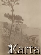 1900-1920, Włochy.
Riwiera. Widok na drzewa, zatokę i wzgórza w oddali.
Fot. NN, kolekcja rodziny Walińskich, zbiory Fundacji Ośrodka KARTA