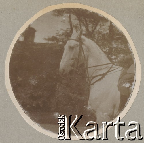 1900-1920, miejsce nieznane.
Portret konia wycięty w owalny kształt. Widać fragment osoby siedzącej na koniu. W tle drzewa i budynek.
Fot. NN, kolekcja rodziny Walińskich, zbiory Fundacji Ośrodka KARTA
