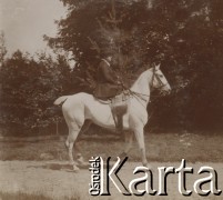1900-1920, miejsce nieznane, Polska.
Kobieta na koniu. W tle las.
Fot. NN, kolekcja rodziny Walińskich, zbiory Fundacji Ośrodka KARTA