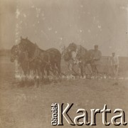1900-1920, miejsce nieznane.
Orka. Dwóch mężczyzn pracuje w polu. Cztery konie ciągną pług.
Fot. NN, kolekcja rodziny Walińskich, zbiory Fundacji Ośrodka KARTA
