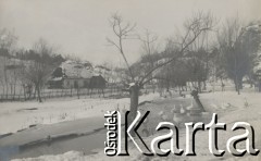 1900-1920, miejsce nieznane, Polska.
Zima. Gęsi na zamarzniętej rzece.
Fot. NN, kolekcja rodziny Walińskich, zbiory Fundacji Ośrodka KARTA