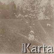 1900-1920, miejsce nieznane, Polska.
Dziecko w parku. Siedzi na trawie przed magnolią. W pobliżu pies.
Fot. NN, kolekcja rodziny Walińskich, zbiory Fundacji Ośrodka KARTA