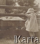 1900-1920, miejsce nieznane, Polska.
Dziecko przy zagordzie ze świniami.
Fot. NN, kolekcja rodziny Walińskich, zbiory Fundacji Ośrodka KARTA
