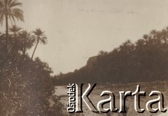 1900-1920, miejsce nieznane.
Krajobraz. Rzeka, palmy, w oddali widać górę.
Fot. NN, kolekcja rodziny Walińskich, zbiory Fundacji Ośrodka KARTA