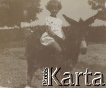 1920-1930, miejsce nieznane, Polska.
Dziewczynka na ośle. W tle męzczyzna i pole kukurydzy.
Fot. NN, kolekcja rodziny Walińskich, zbiory Fundacji Ośrodka KARTA