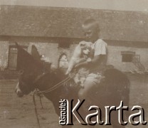 1920-1930, miejsce nieznane, Polska.
Chłopiec. Siedzi na ośle i trzyma psa. W tle stajnia.
Fot. NN, kolekcja rodziny Walińskich, zbiory Fundacji Ośrodka KARTA