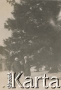 1920-1930, miejsce nieznane, Polska.
Zima. Kobiety na spacerze.
Fot. NN, kolekcja rodziny Walińskich, zbiory Fundacji Ośrodka KARTA