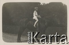 1920-1930, miejsce nieznane, Polska.
Dziewczynka na koniu. W tle łąka i drzewa.
Fot. NN, kolekcja rodziny Walińskich, zbiory Fundacji Ośrodka KARTA